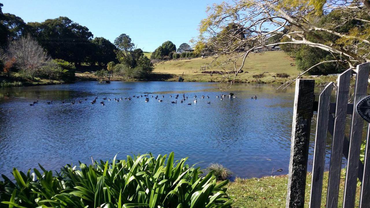 Maleny Homestead&Cottage Exteriör bild